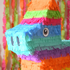 THEME PARTIES